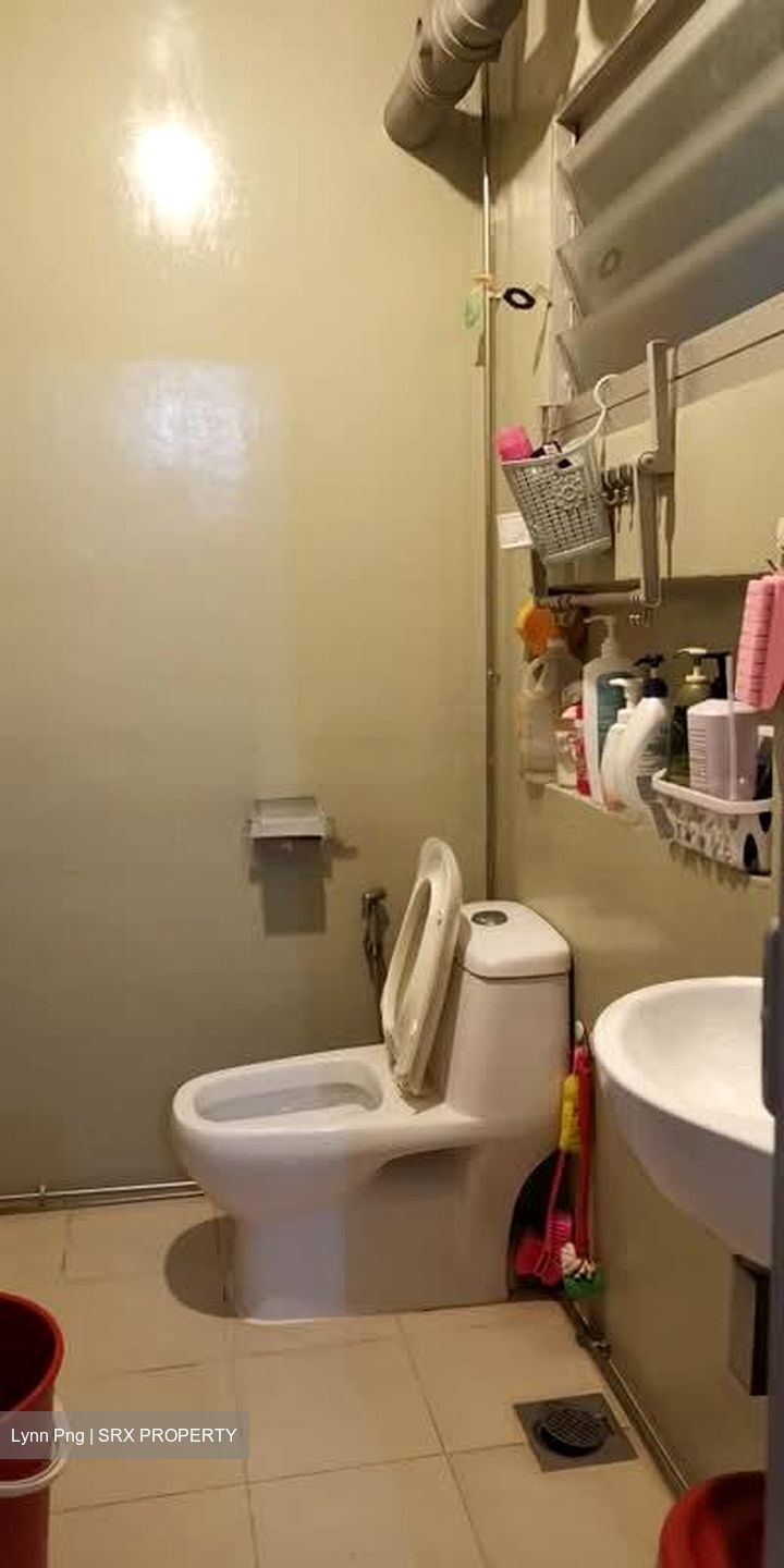 Blk 297B Compassvale Green (Sengkang), HDB 4 Rooms #578587821